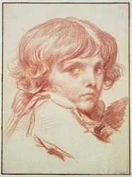Portrait of a Young Boy